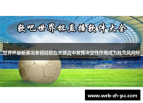 世界杯最新赛况老将经验在关键战中发挥决定性作用成为胜负风向标