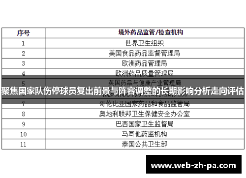 聚焦国家队伤停球员复出前景与阵容调整的长期影响分析走向评估